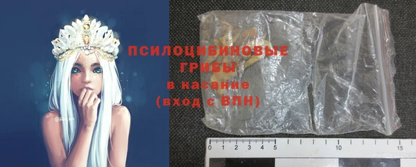 индика Алзамай