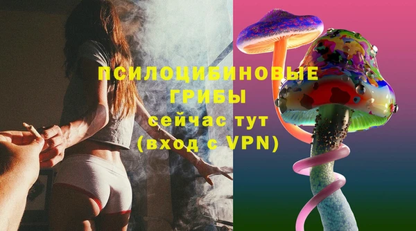 винт Алексеевка