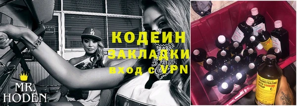 ПСИЛОЦИБИНОВЫЕ ГРИБЫ Новозыбков