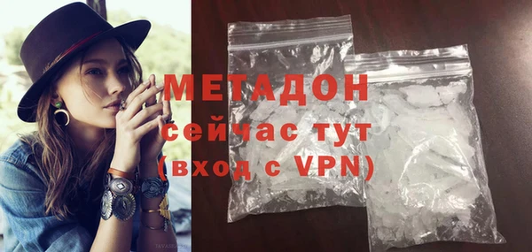 индика Алзамай